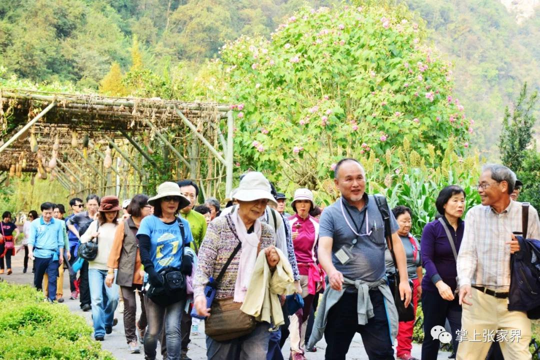 1541727277132223.jpg 1541727277132223.jpg